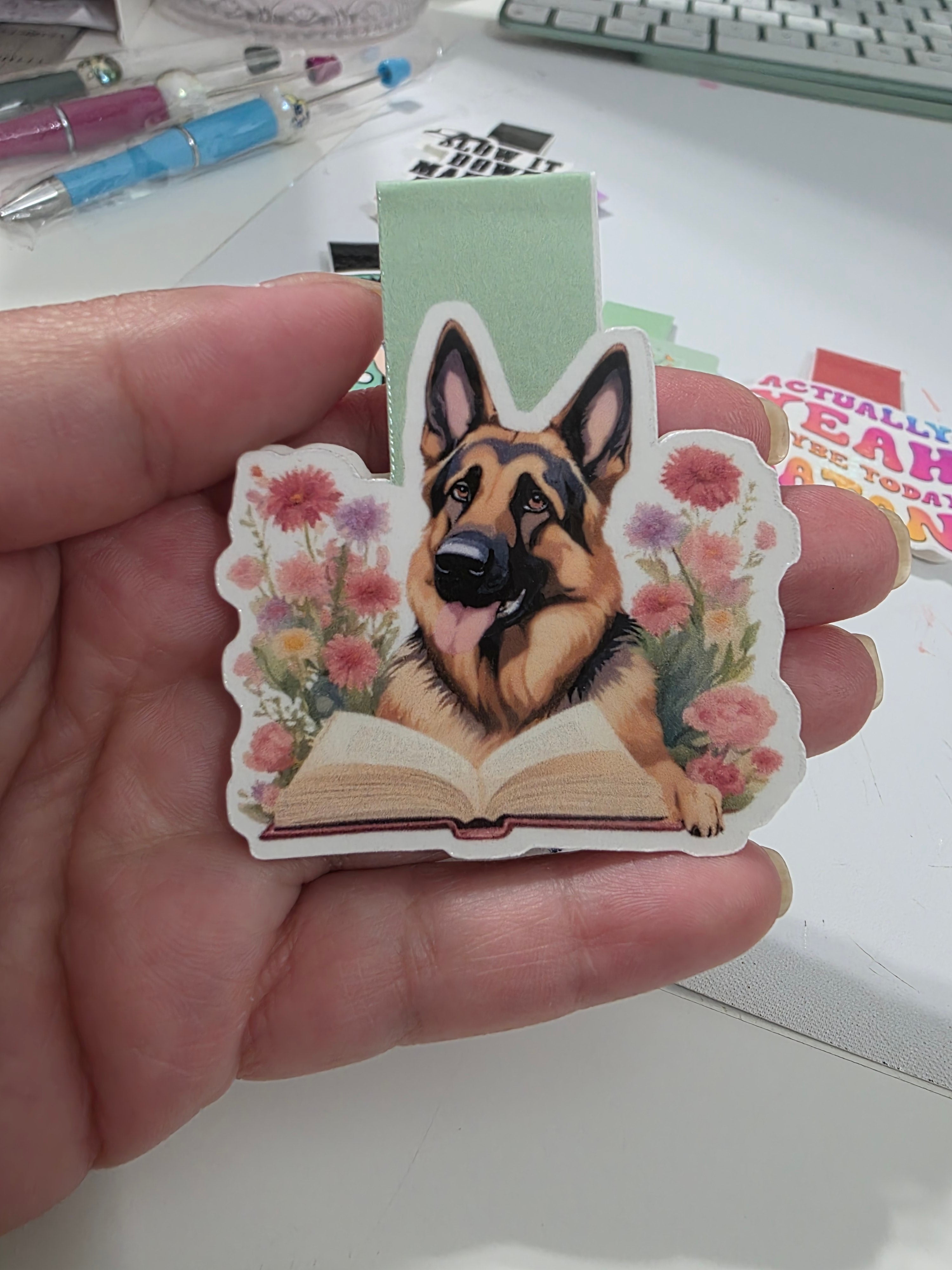 Assorted Magnetic Bookmarks